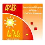 ASSOCIATION-DU-POLE-D’ACTIVITES-DES-ENTREPRISES-DE-LA-PILE-–-APAEP